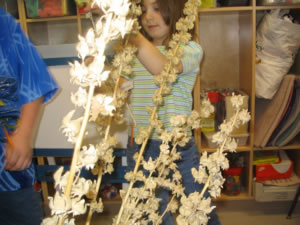 Picture of hollyhock stems.