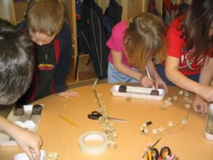 Planting the Hollyhock seeds.