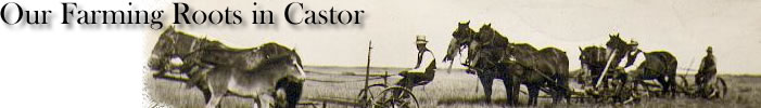 Horse drawn swather - picture from the private collection of Jim Bedson