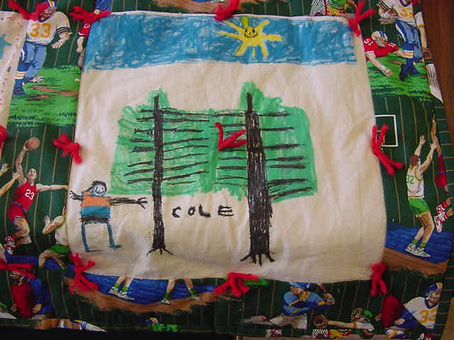 Quilt story by Cole