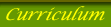 Curriculum Connections Pages