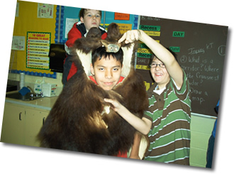 Students comparing their size to the size of a brown bear.