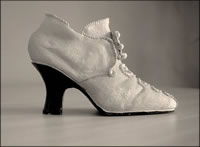 Old Fashioned Shoe