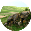 Head-Smashed-In Buffalo Jump Video Icon