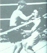 Boxers. Picture from http://www.coachron.com/