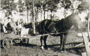 Horse and cart. Private collection of Jim Bedson.